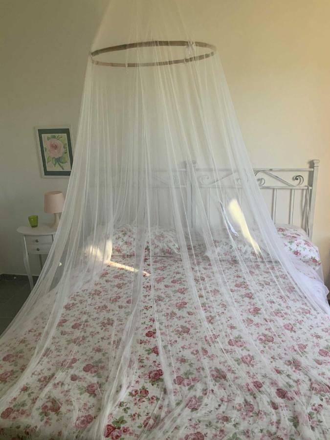 Beahouse: Casa Con Vista A Sassetta Apartman Kültér fotó